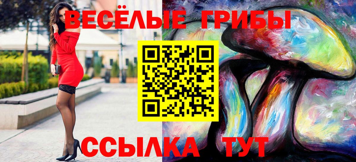 Галлюциногенные грибы Magic Shrooms Сокол
